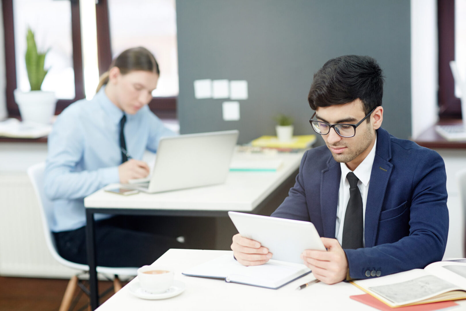 45 Trademark Classes